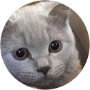 Martyna Majerska profile picture